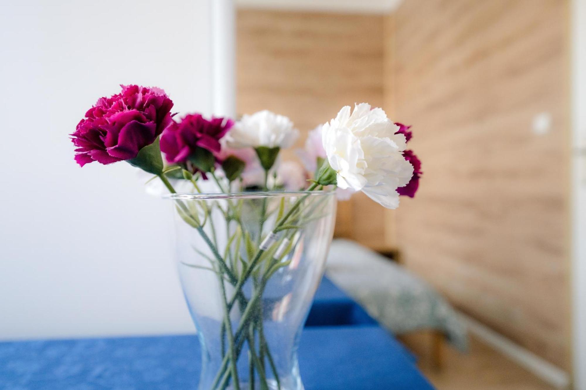 Cosy Balcony Apartment Grudziądz Eksteriør bilde